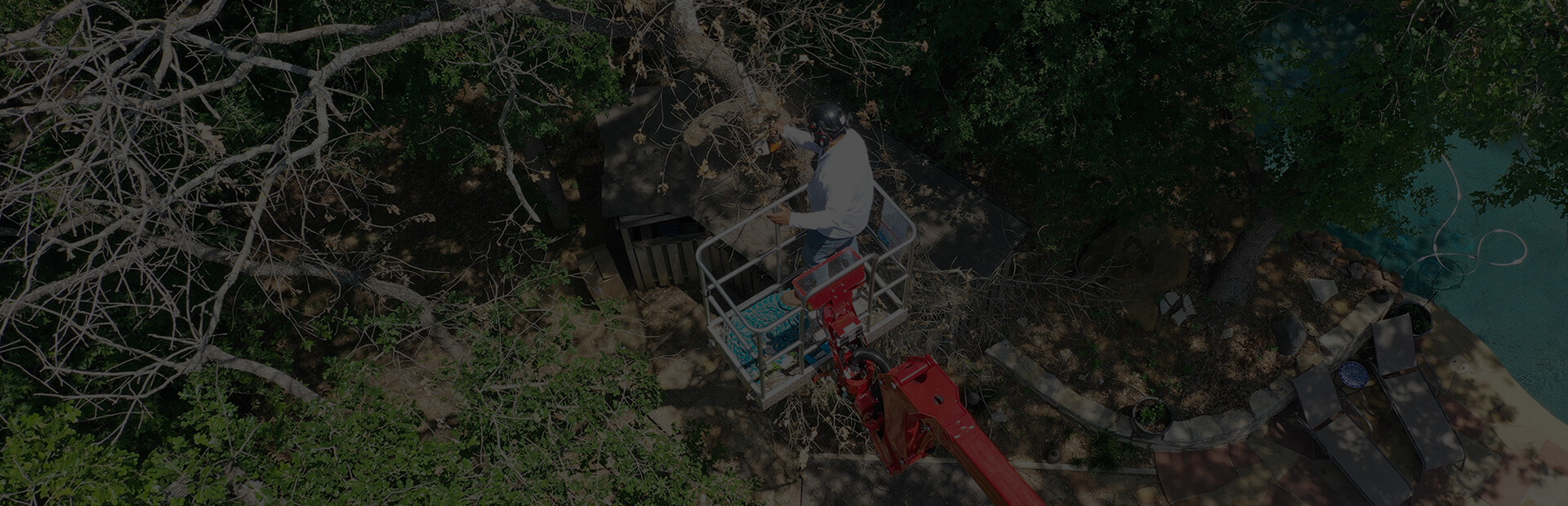 a man on a hydraulic lift performing tree trimming services
