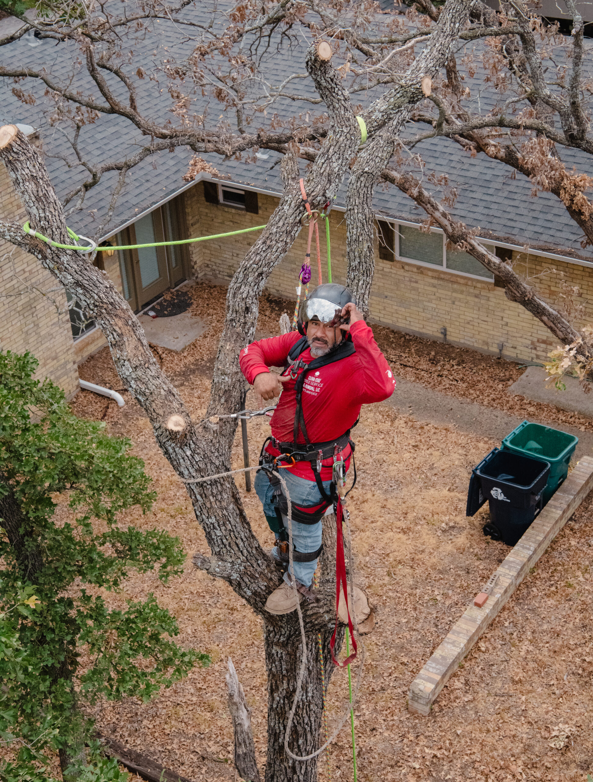 clean edge tree services owner standing in a tree performing tree trimming