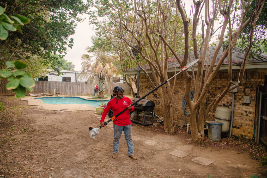 Tree pruning should be done correctly for the health and beauty of your tree landscape.