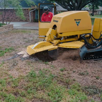 stump grinder at work in a yard in denton tx