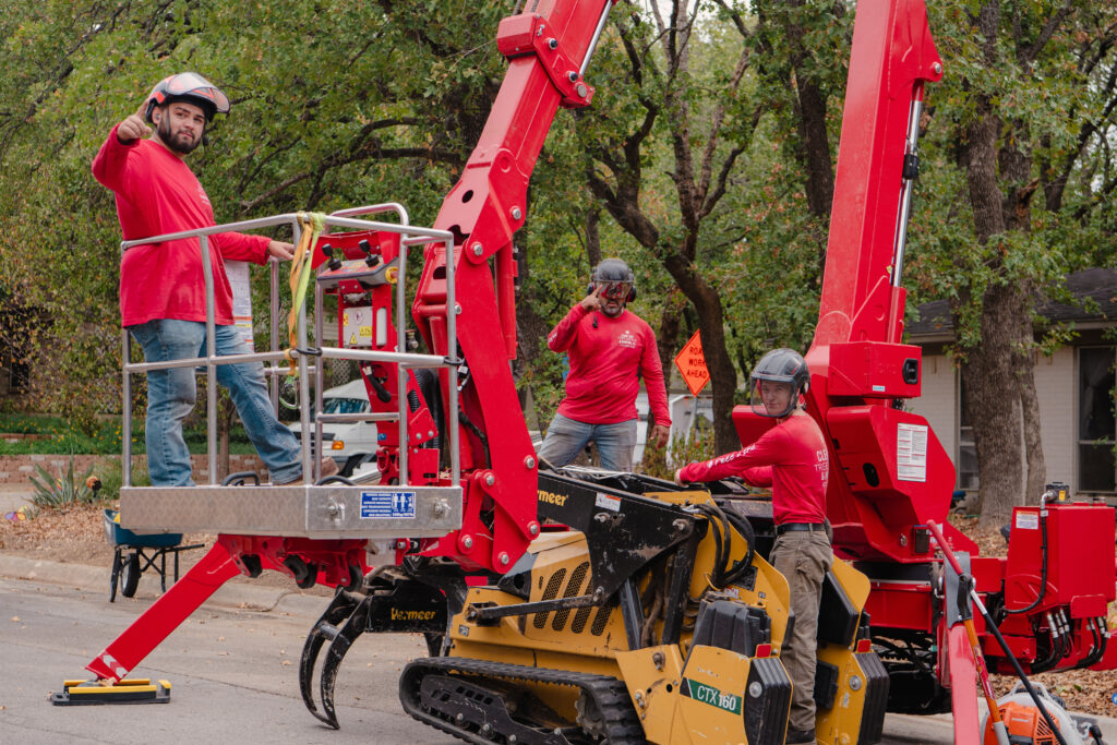 The crew at Clean Edge Tree Service & Removal is here to help you with your tree trimming and tree removal needs.