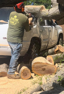 Storm damage - large tree fell on a car