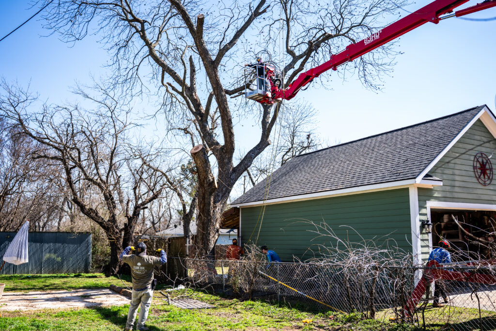 Professional removal of a large dead tree near a garage in Denton, TX using a CMC 83 Arbor Lift Pro to safely protect the property.