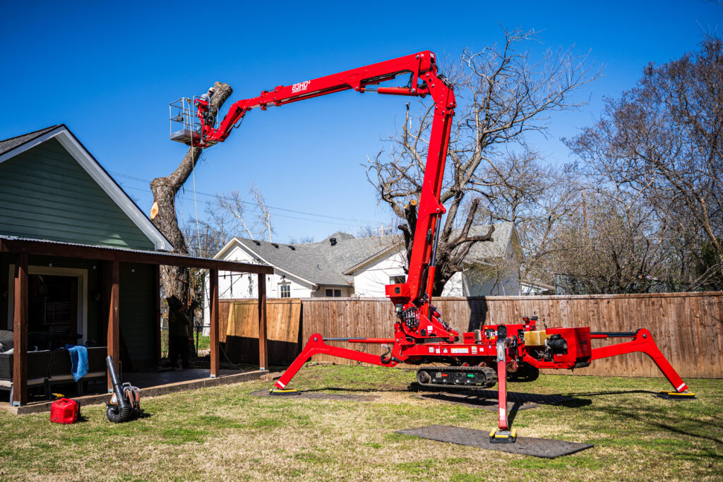 Using the arbor lift to safely remove a large tree in Denton, TX