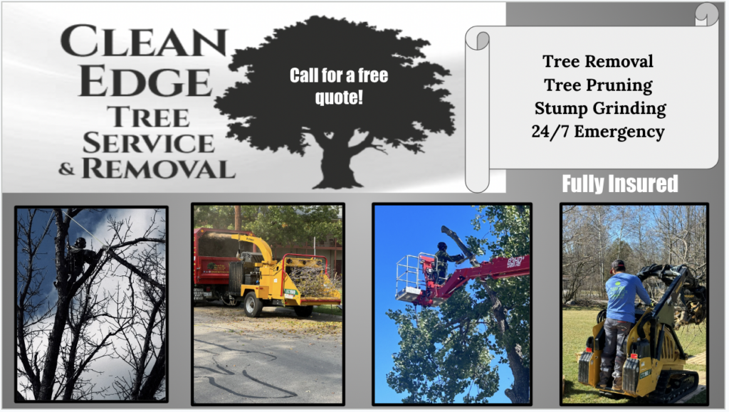 Clean Edge Tree Service & Removal, a professional tree company