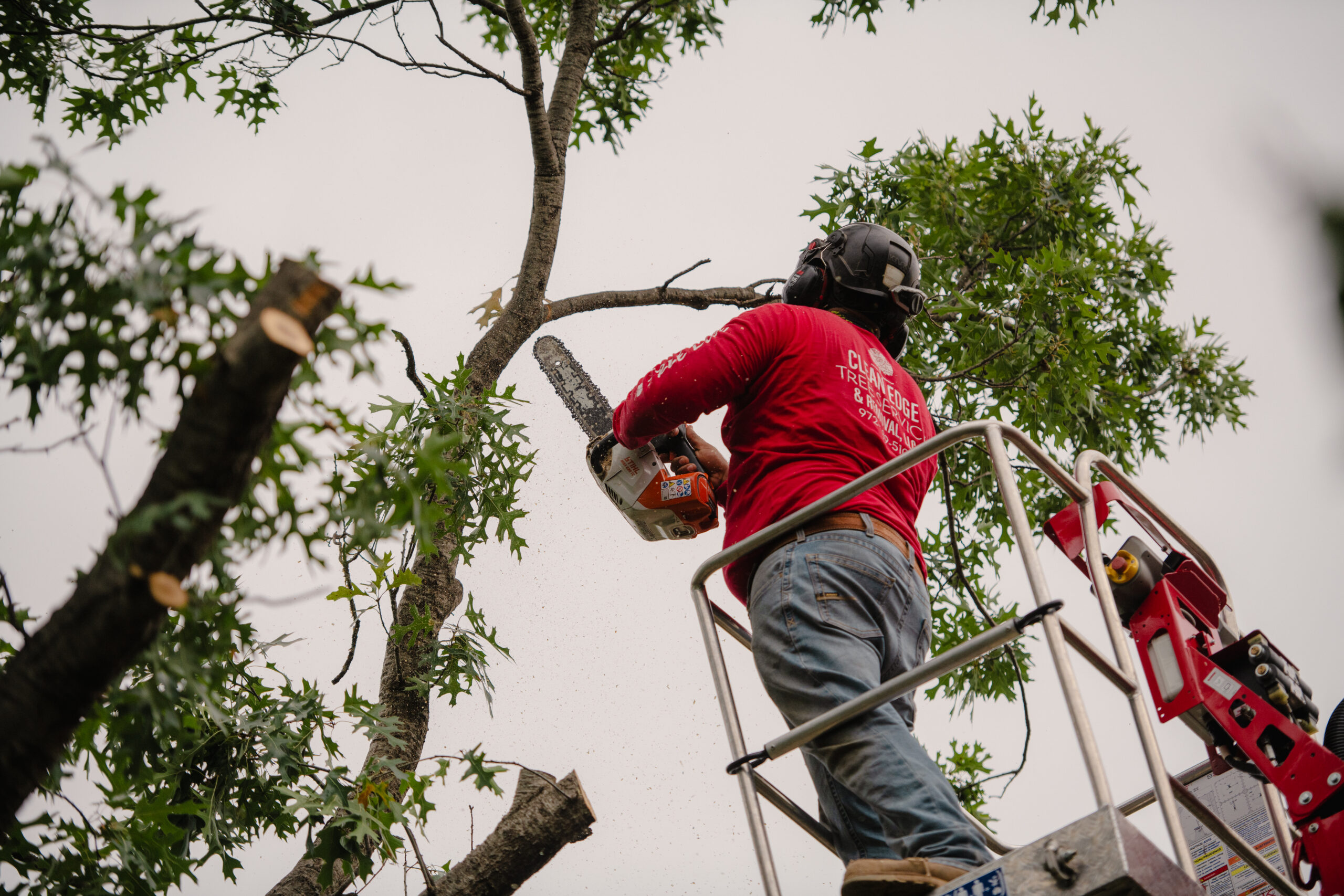 Tree Trimming with the CMC Arbor Lift